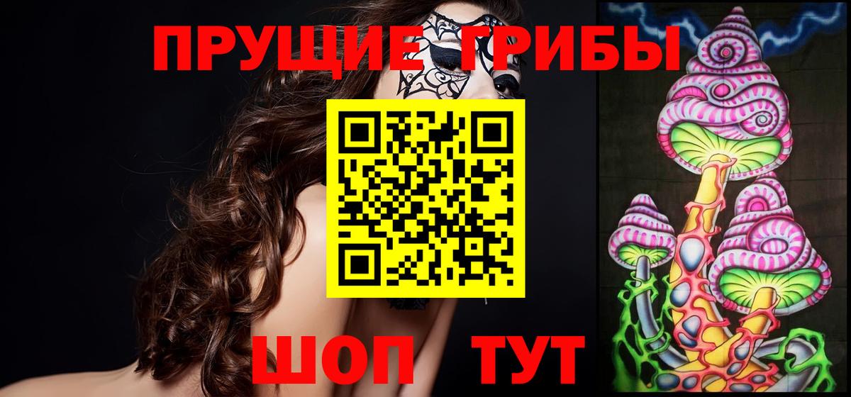 Галлюциногенные грибы MAGIC MUSHROOMS  купить закладку  Сланцы  Псилоцибиновые грибы Magic Shrooms  Вход с VPN 