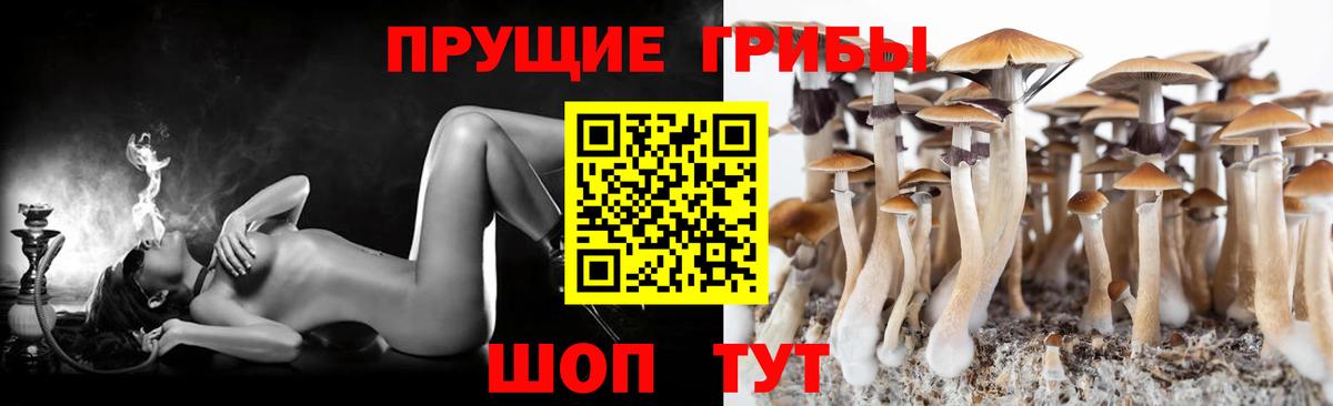 Псилоцибиновые грибы MAGIC MUSHROOMS Сланцы